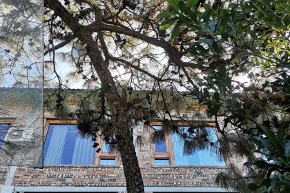 彝族传统风味饭店