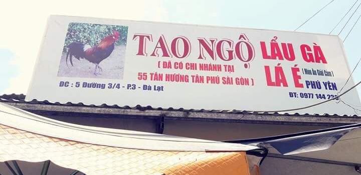 Tao Ngo Ca Phe