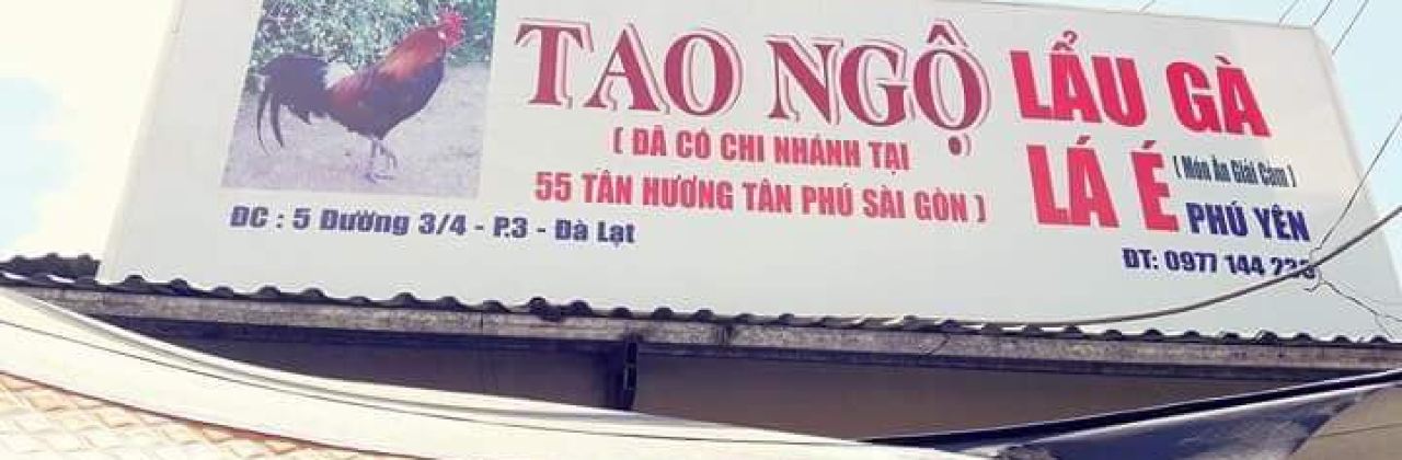 Tao Ngo Ca Phe
