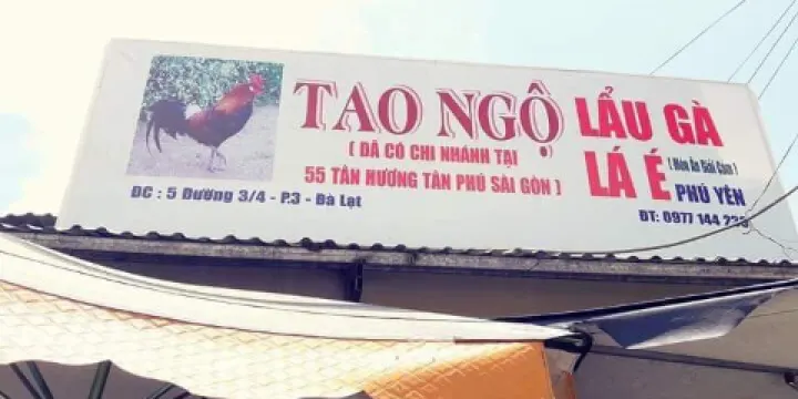 Tao Ngo Ca Phe