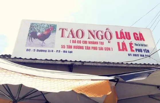 Tao Ngo Ca Phe