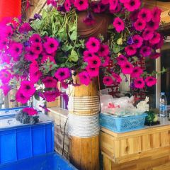 山茶花农家院 User Photo