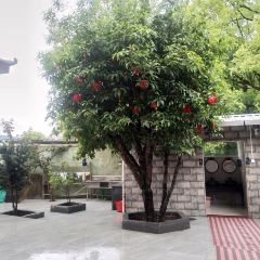 香樟酒楼 User Photo