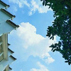 云里居 User Photo