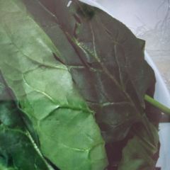 彤德莱火锅(平度大润发店) User Photo