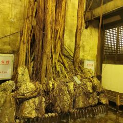 Wenru No.9 User Photo