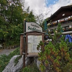 Seeklause User Photo