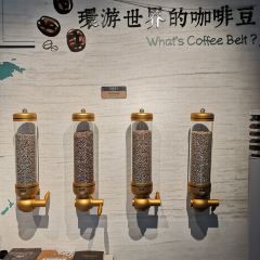 安仁咖啡博物馆·文善COFFEE(安仁店) User Photo