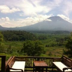 Bali Asli User Photo