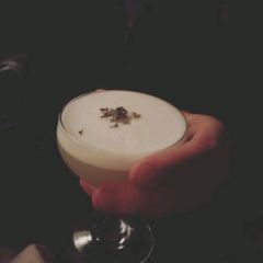 The Bon Vivant User Photo