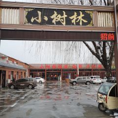 小树林烧烤(水泊南路店) User Photo