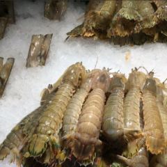 加餐海鲜自助(世欧广场店) User Photo