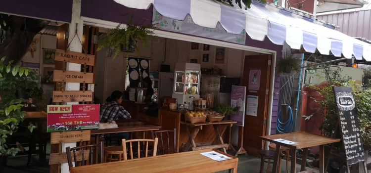 Rabbit Cafe