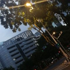 THE ONE CLUB 여행 사진