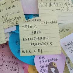 乌龍煎(白蒲店) User Photo