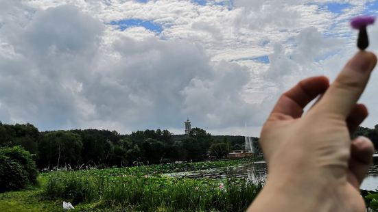 这里的花海一定要连成片，远处看会特别漂亮。玛琪雅朵花海，名字