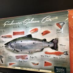 Mount Cook Alpine Salmon張用戶圖片