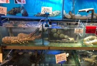 Lamma Rainbow Seafood Restaurant user photo