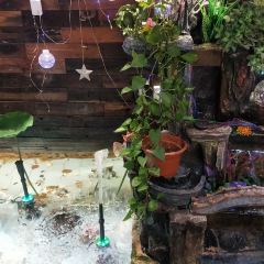 Xie san jie Gold Award Beer-battered Fish User Photo