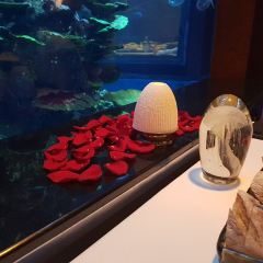 알마하라 여행 사진