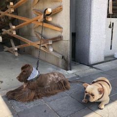 星巴克（太宰府天滿宮表參道店）張用戶圖片