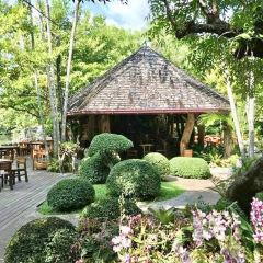 Khaomao - Khaofang Restaurant Maesot 여행 사진