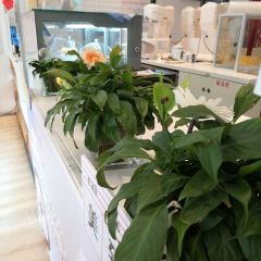 Yang Xiao Xian ( Zhongshan Road Dian) User Photo