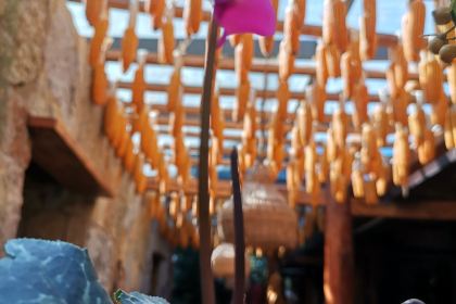 彝族传统风味饭店