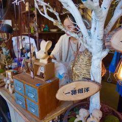 Xishuangbanna User Photo