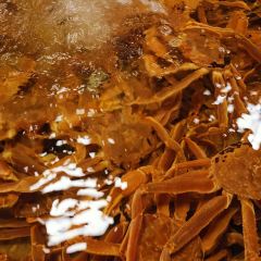 Addiction Aquatic Development User Photo