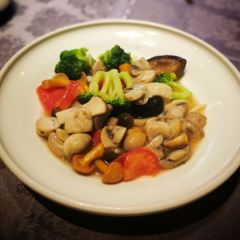 Mountain Beyond Mountain User Photo