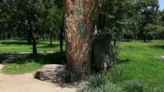 万树园是承德避暑山庄的一个景点，号称那块石碑上的字的原型，来