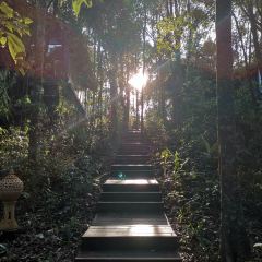 小熊猫庄园·西餐厅 User Photo