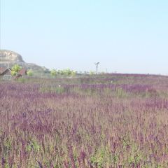 Zimo Huahai Xunyicao Manor User Photo