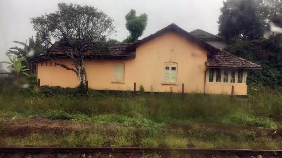 加勒火车站现在是斯里兰卡这里的网红景点了，个国内的很多火车站