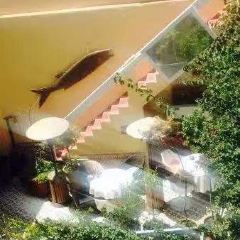 Caravane Cafe User Photo