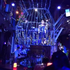 THE FOREST LIVE MUSIC ảnh của người dùng