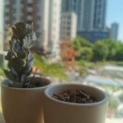 大叔食堂·小二烧肉(群众路店) User Photo