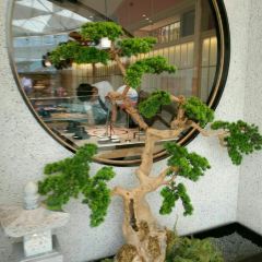 左庭右院鮮牛肉火鍋(無錫永珍城店)張用戶圖片