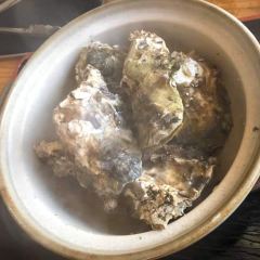 Kakigoya 여행 사진