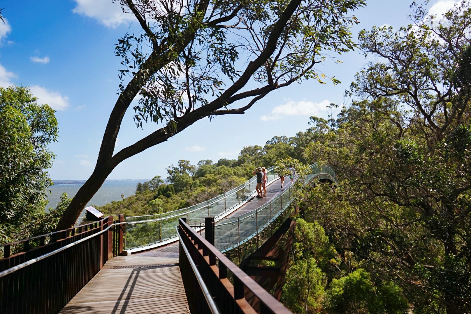 Lotterywest Federation Walkway attraction reviews - Lotterywest Federation  Walkway tickets - Lotterywest Federation Walkway discounts - Lotterywest  Federation Walkway transportation, address, opening hours - attractions,  hotels, and food near ...