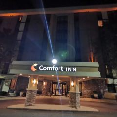 Biscuit Bitch(Caffé Lieto) User Photo