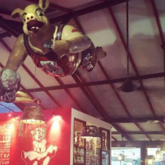 Hog Wild | Best Pork Ribs Restaurant User Photo