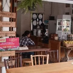 Rabbit Cafe User Photo