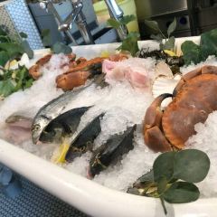 The Scallop Shell User Photo
