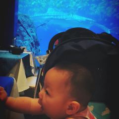 Ocean Beauty Restaurant 여행 사진