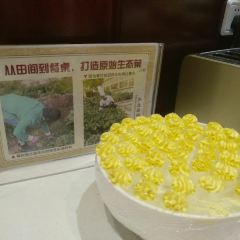 库车饭店-99西餐厅 User Photo