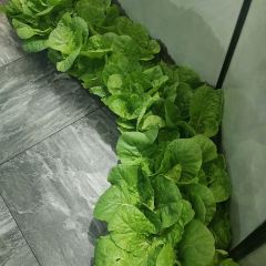 芳袭人老菜馆(环城西路店) User Photo