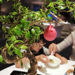 Silver pot ảnh của người dùng