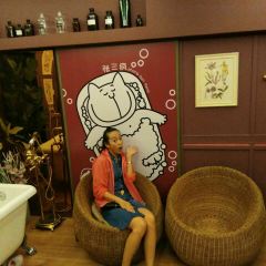 张三疯猫式奶茶&杂货铺(三友店) User Photo